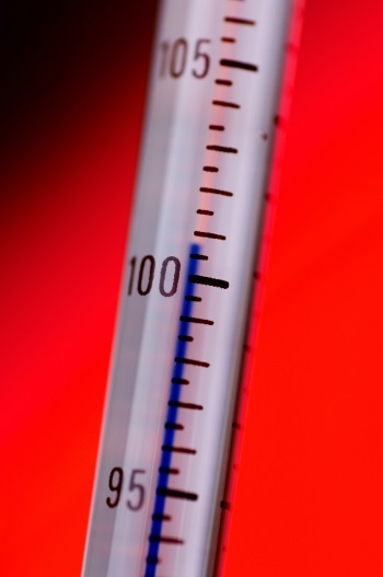 Thermometer Labels